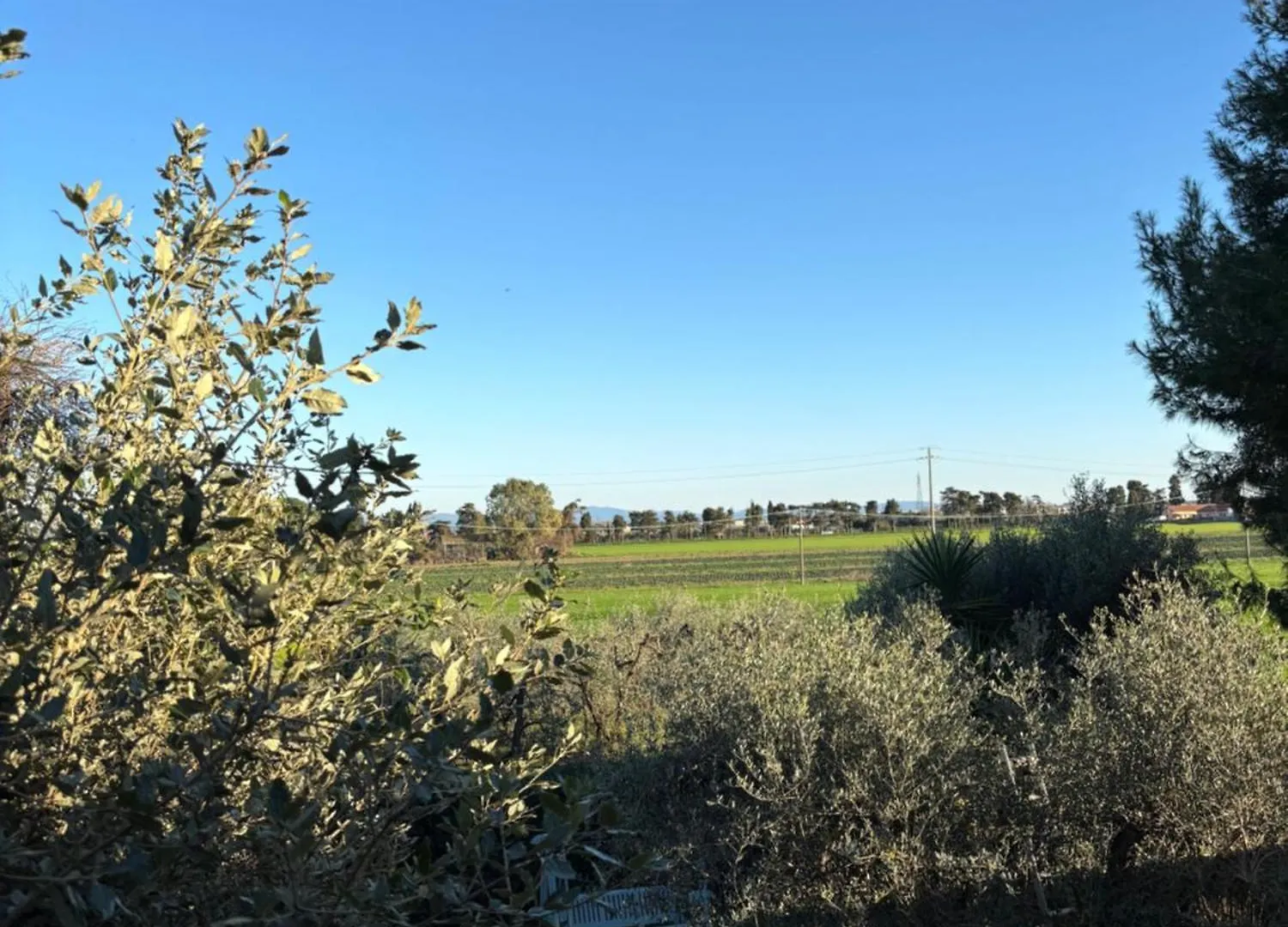 Agriturismo Sant'Adriano Venturina Terme